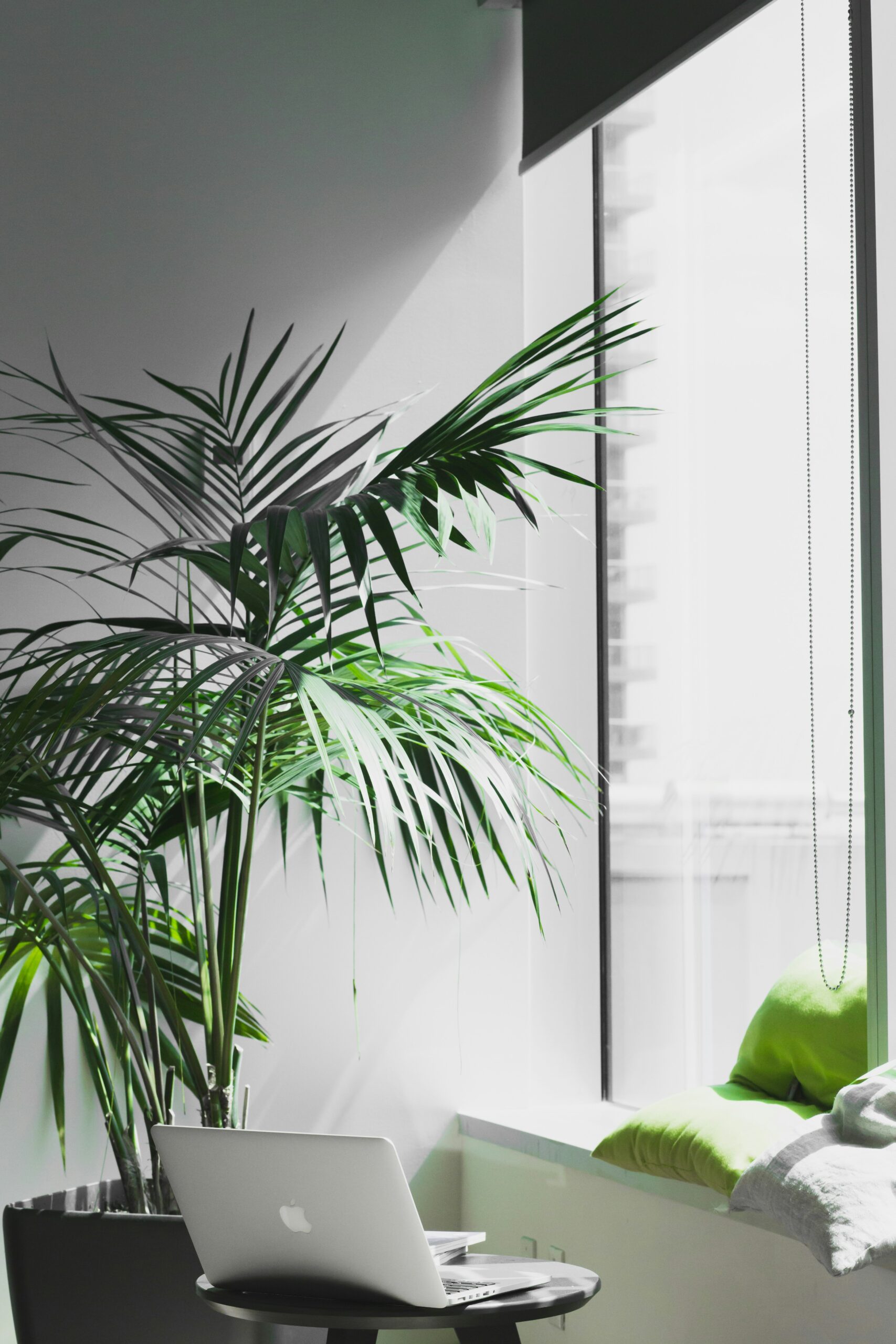 Photo by Alesia Kazantceva on Unsplash