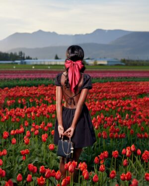 Photo by Vladimir Yelizarov on Unsplash